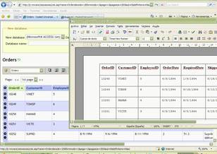 filtered data, query data results and full table exports to MS Word